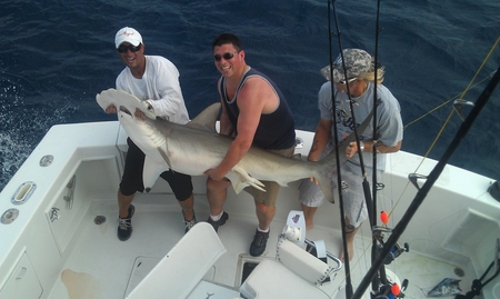 Simonetti Catch.jpg